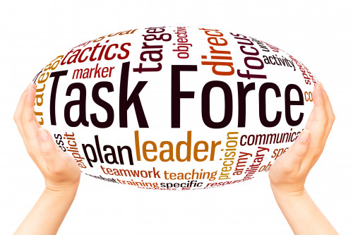task force