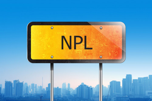 NPL - NON PERFORMING LOAN