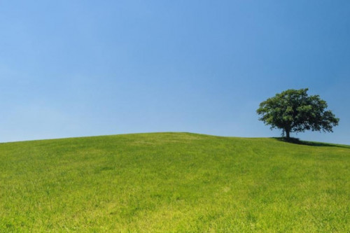 efficienza energetica