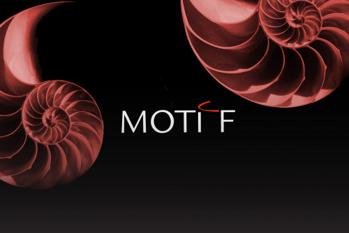 Newsletter Moti-f