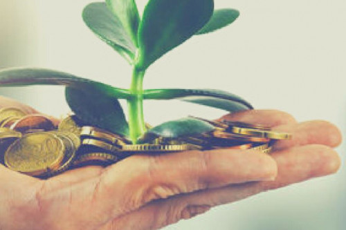 fondo di garanziabis