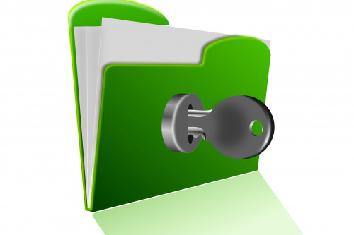 casellario informatico