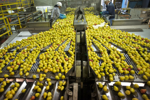 industria-alimentare