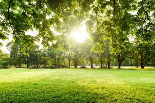 efficientamento energetico