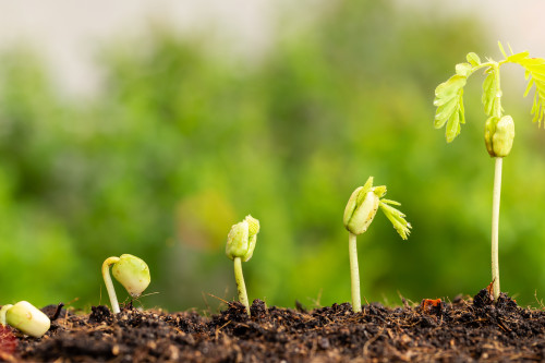 statistiche agricole