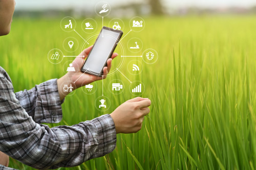 agricoltura sostenibile