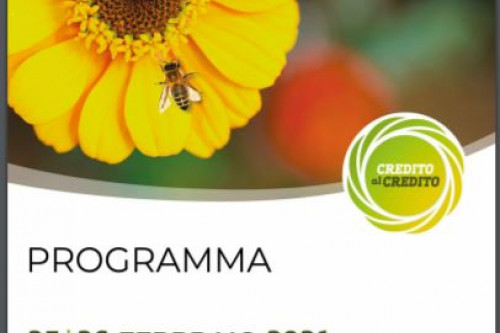 Credito al Credito
