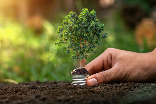 crescita sostenibile