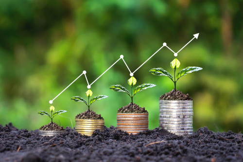 statistiche agricoltura