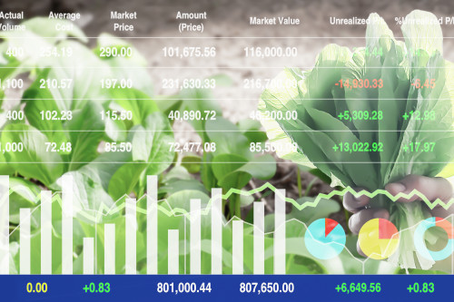 statistiche agricole 2