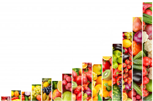statistiche agricoltura2