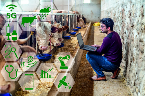 statistiche zootecniche