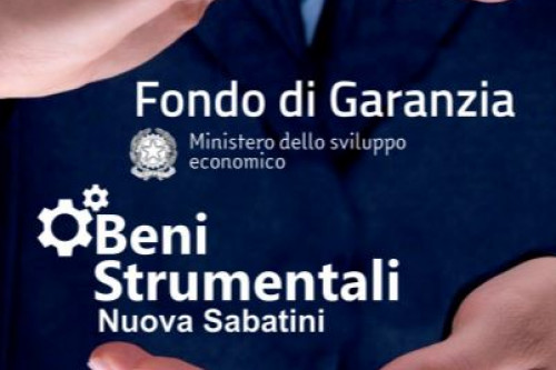 fondo di garanzia 2