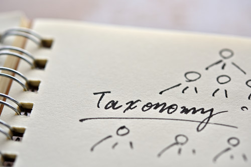 tassonomia sociale