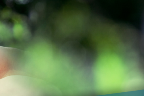 banca d'italia comitato sostenibilità