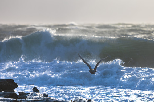 Dal recupero alla crescita, con venti contrari