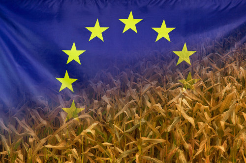 agricoltura europa