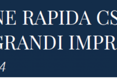 csc grandi imprese industriali