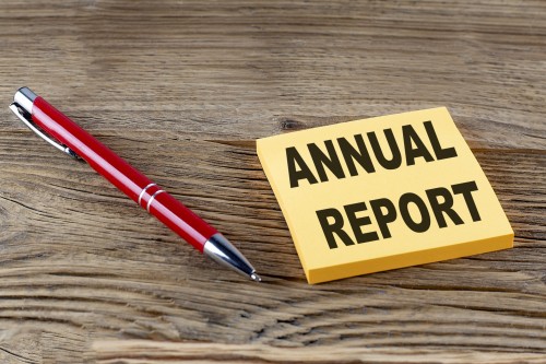 rapporto annuale foto