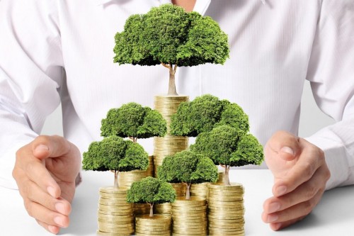 Rapporto annuale 2024 cap 6