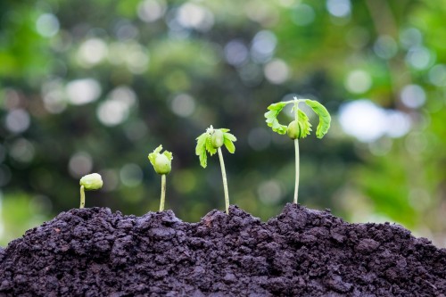 statistiche agricoltura italia